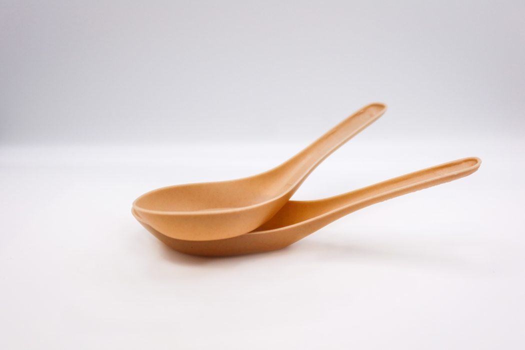 Chinese Soup Spoon