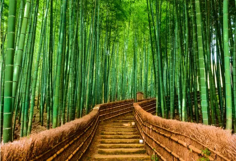 ecoNEXT Bamboo Hand Towels - Folded N - 250 Per Pack