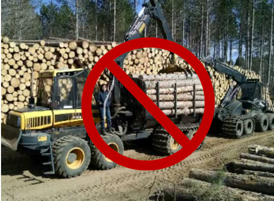 ecoNEXT Bamboo Hand Towels - Folded N - 250 Per Pack