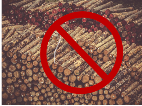 ecoNEXT Bamboo Hand Towels - Folded N - 250 Per Pack