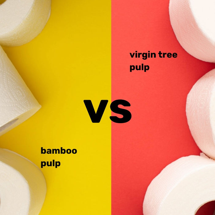 Benefits of Using Bamboo Toilet Paper