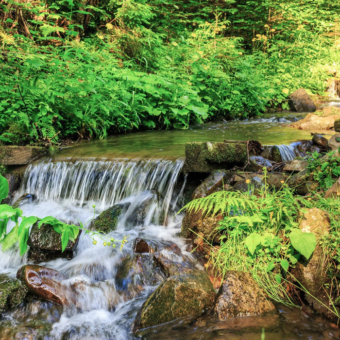 Environmental Benefits of Using Bamboo Paper