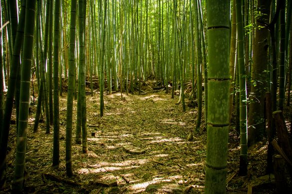 Sustainability Sample Kit